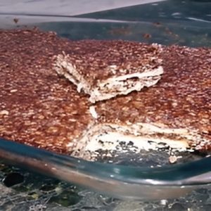 Oat Nougat No Bake