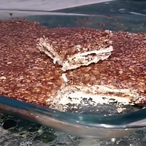 Oat Nougat No Bake